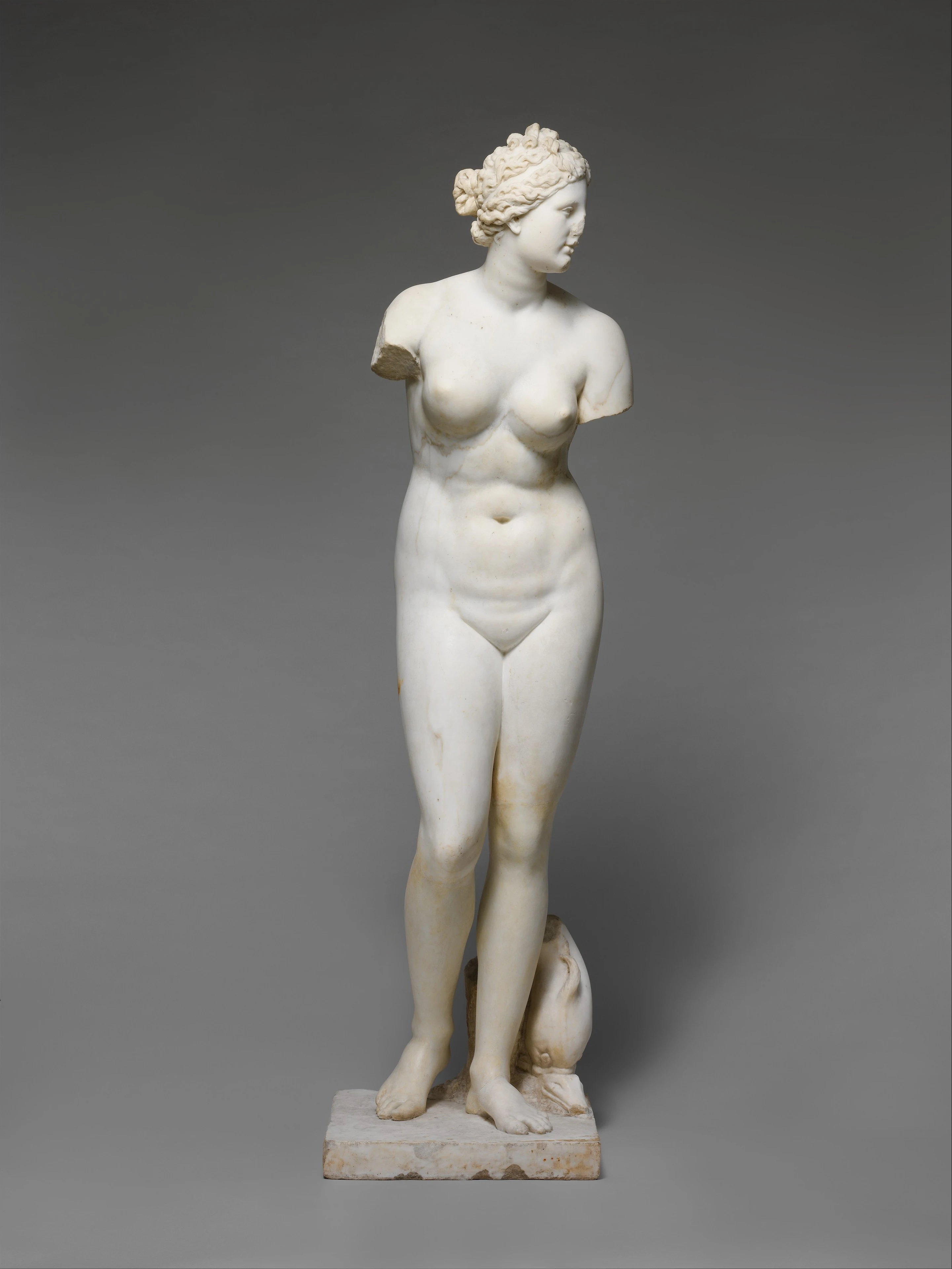 Statue en marbre d'Aphrodite nue, bras brisés, debout près d'un petit support, copie romaine inspirée de l'Aphrodite de Cnide.