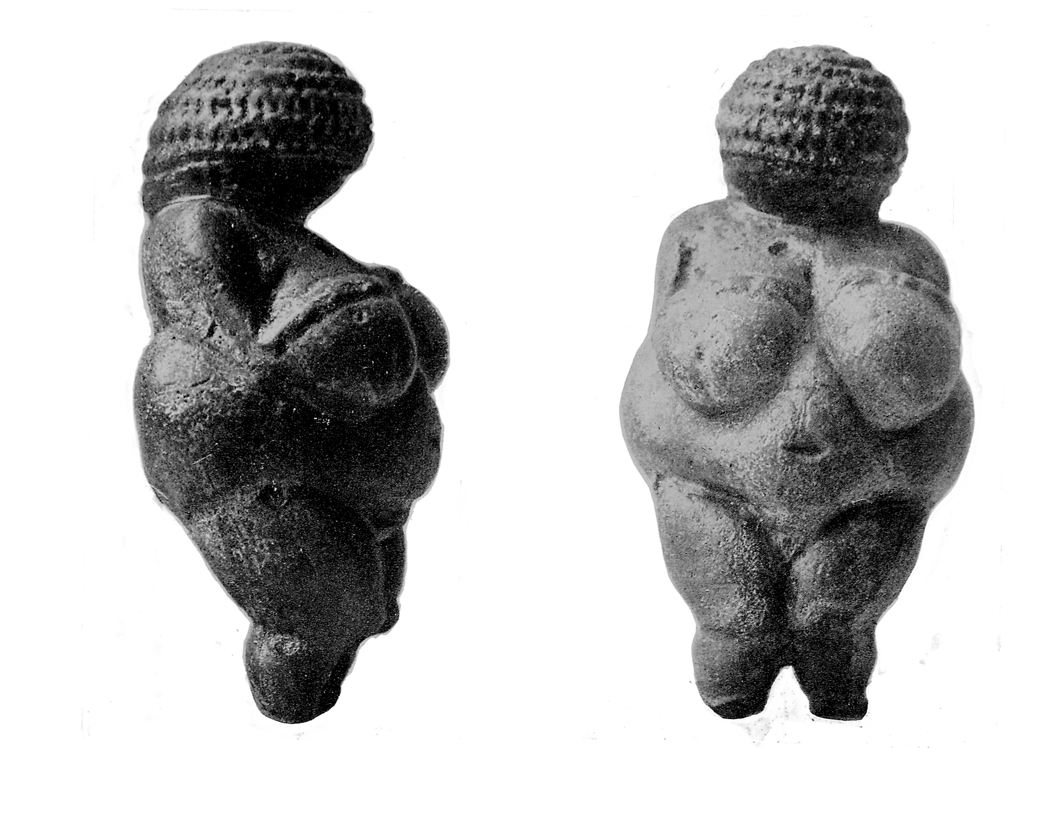 La Vénus de Willendorf photographiée sous deux angles, de dos et de face : une statuette de calcaire aux formes rondes et généreuses, le visage couvert d'un motif tressé.